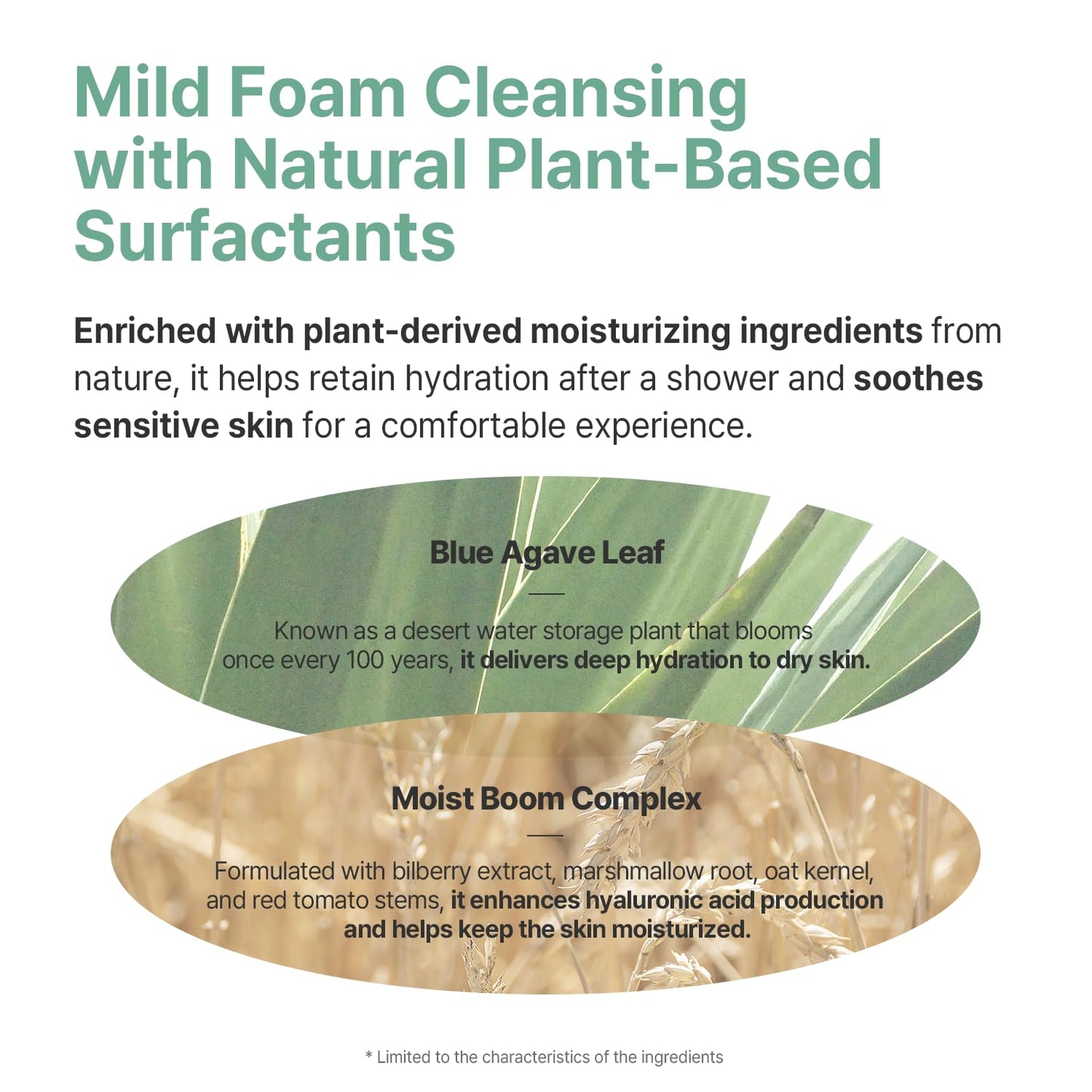 AVCA Baby & Kids All-in-One Shampoo & Wash for Sensitive Skin and Gentle Cleansing 500ml/16.90fl. oz.