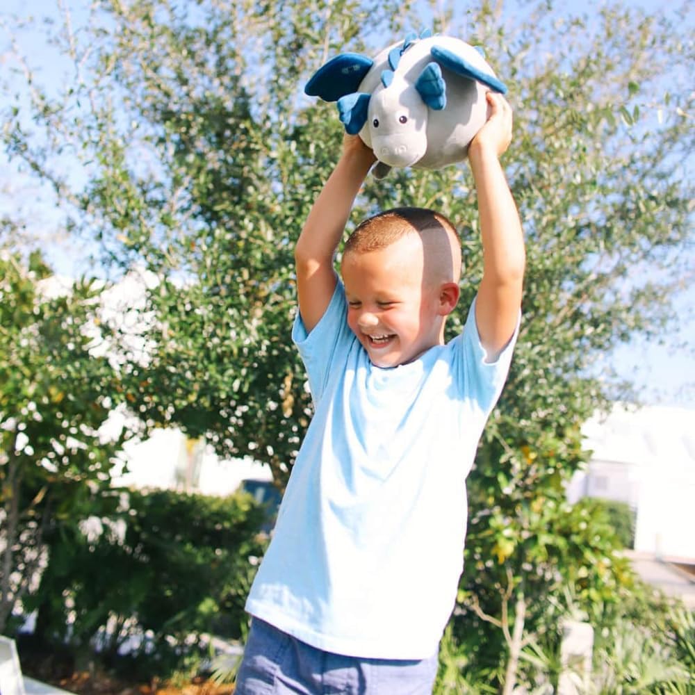 Plush First Aid Kit for Home - Aid Kit for Kids - Toddler First Aid Kit β Mini Emergency First Aid Classroom β Mr. Lizarbocker Dragon Plush Bag