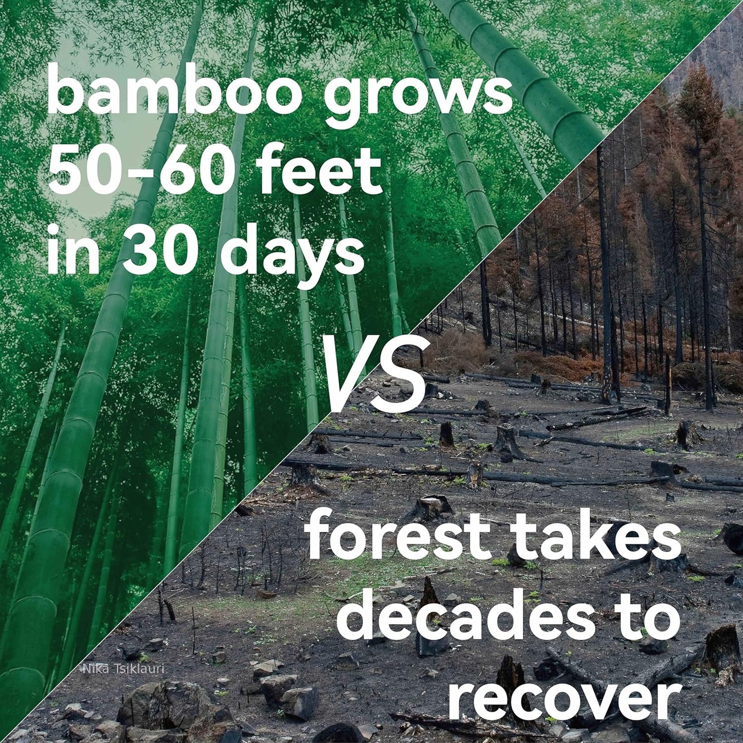 Children Bamboo Toothbrushes for 3 y+ Tots, BPA Free Bristles, Medium Soft, 6 PCS Bamboo Toothbrush for Dental Hygiene, Compostable and Sustainable, Classic Rounded Handle for Easy Grip