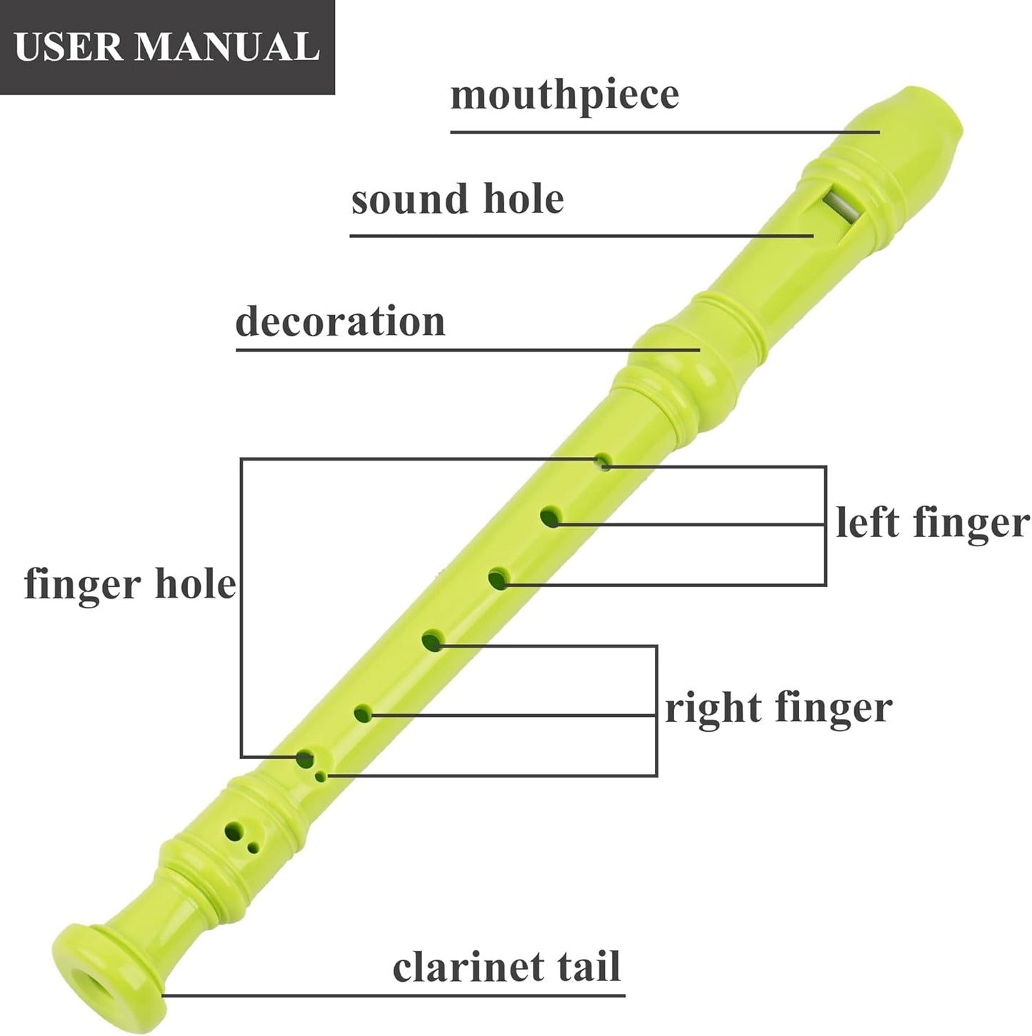 Recorder Instrument for Beginner Adults,8-Hole Soprano Descant Recorder Music Flute with with Cleaning Rod & Leather Case For Home Entertainment(2-Green Rose)