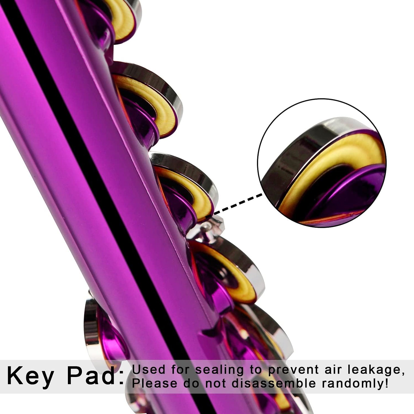 EASTROCK Closed Hole Flutes C 16 Key for Beginner, Kids, Student -Nickel Flute with Case Stand and Cleaning kit (Pink)