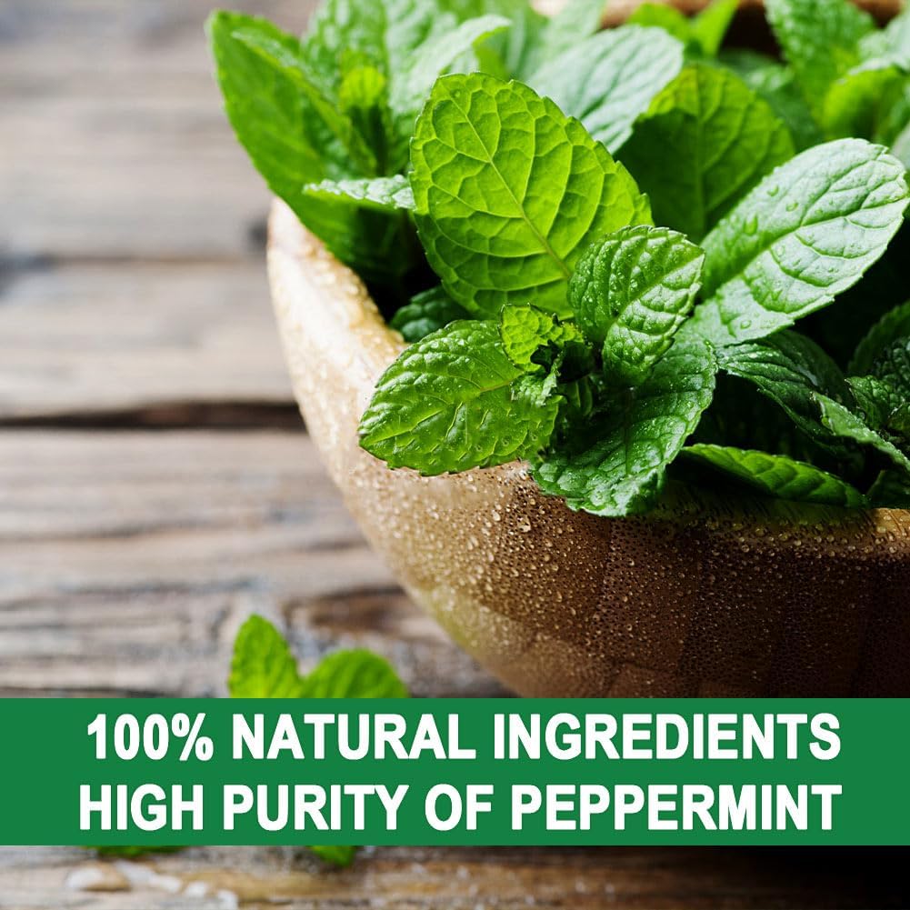 Squirrel Repellent Outdoor, Chipmunk Repellent for Attic/Garden/Bird Feeders/Plants/Cars, Deterrent Squirrels, Keep Chipmunks Away-Pack of 12