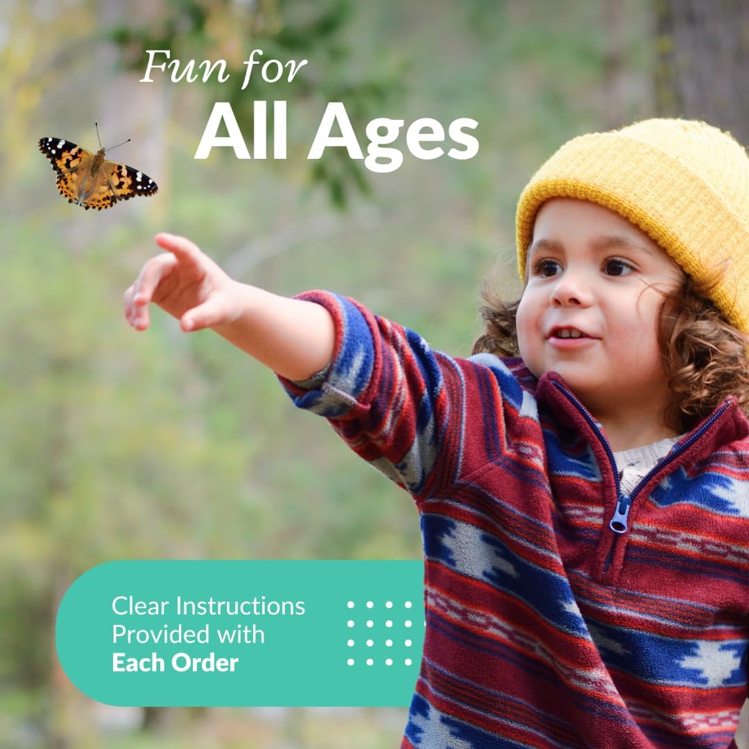 Clearwater Butterfly Live Painted Lady Butterflies - 33 Live Caterpillars Kit - Live Caterpillars to Butterflies - Classroom/School Kit & Habitat - (Suitable for All Ages)