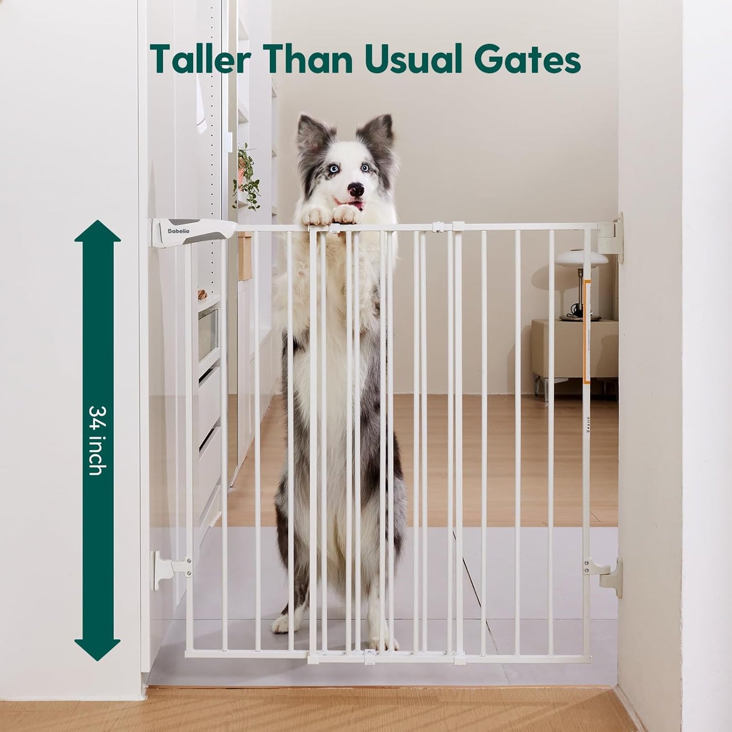 Babelio 34" Extra Tall Baby/Dog Gate with No Threshold Design Walk Thru Door, 26-43" Auto Close Safety Gate for Babies, Elders and Pets, Fits Doorways, Stairs, and Entryways, White