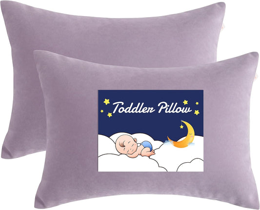NTBAY Toddler Pillows, Down Alternative 13"x18" Pillows, Machine Washable - Soft and Breathable Travel Small Pillows for Sleeping, Ideal for Daycare, Crib, Cot, Lavender