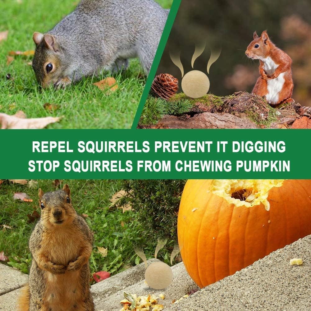 Squirrel Repellent Outdoor, Chipmunk Repellent for Attic/Garden/Bird Feeders/Plants/Cars, Deterrent Squirrels, Keep Chipmunks Away-Pack of 12
