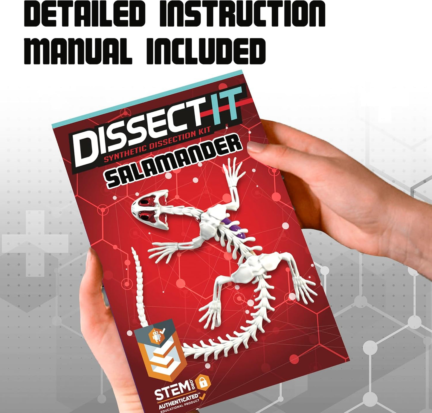 Dissect-It Kit for Kids, Simulated Synthetic Lab Dissection Toy, Salamander STEM Toys for Animal Science, Biology, and Anatomy