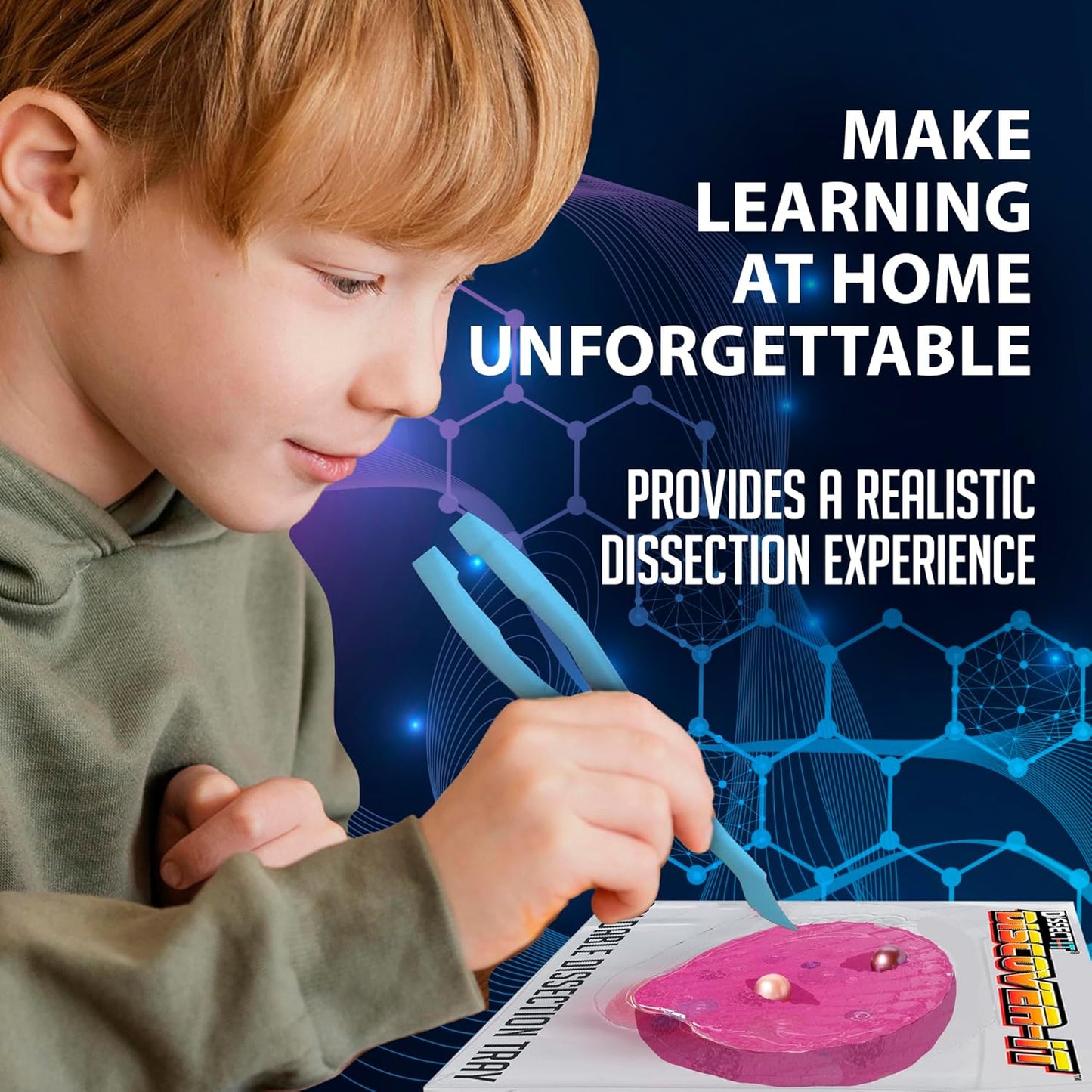 Discover-It Dissection Kit for Kids, Real Freshwater Pearl Science Lab Kit for Oysters, Science Toys for Kids Ages 5 and Above