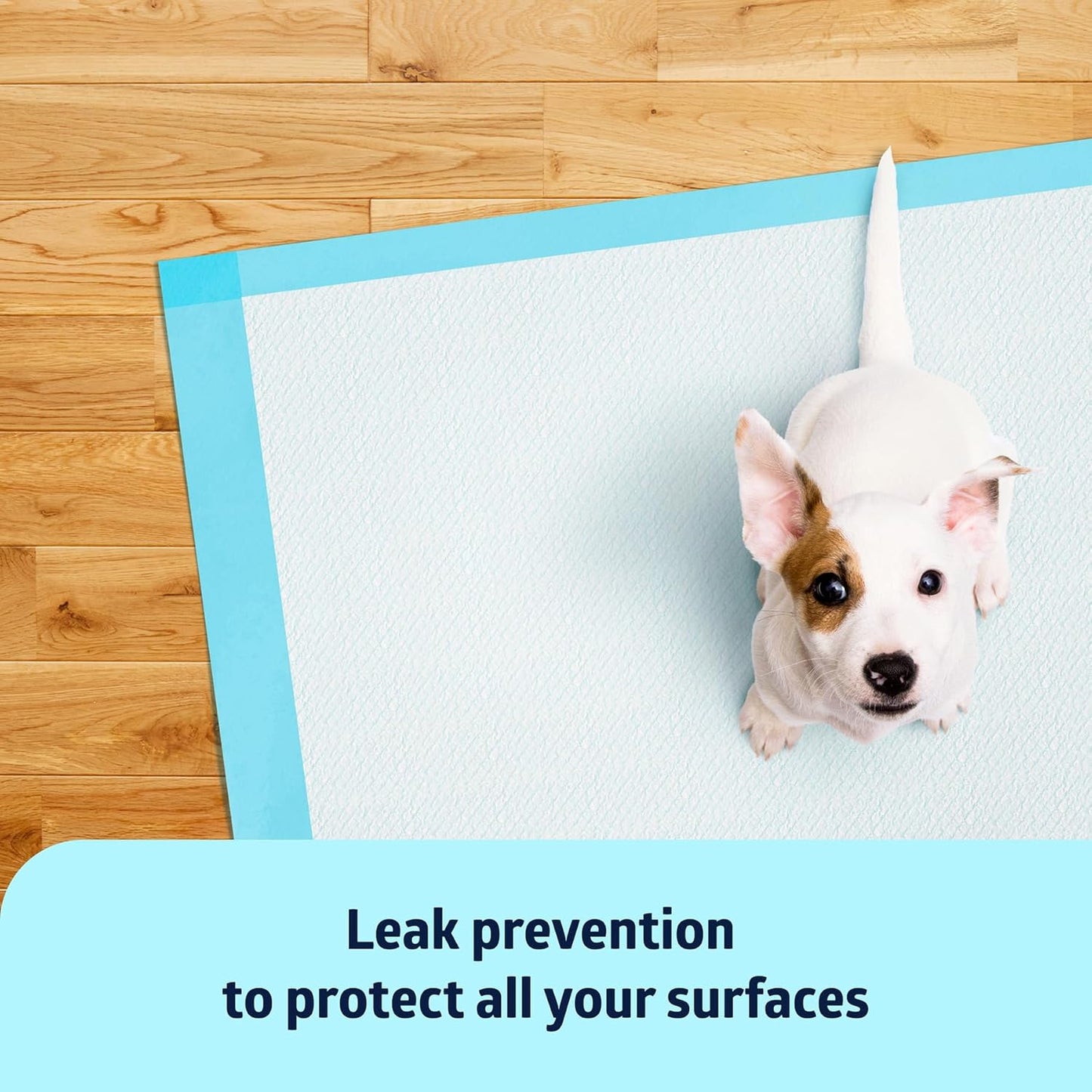 Medline Chucks Pads, Disposable Changing Pads for Baby, 17x24, 100 Count, Chucks Pads, Pee Pads, Disposable Underpads for Incontinence, Diaper Pads, Pee Pads for Babies